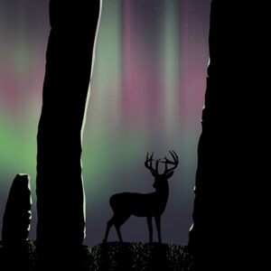 Callanish Stones A2 Print - Image 3