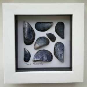 Tiree Mussels - Image 1