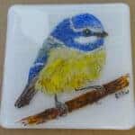 Blue-tit Coaster