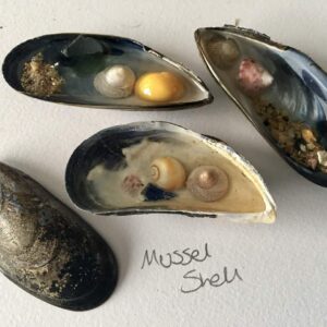 Shell puddles. - handmade by Sarah Kay Arts (view 4)