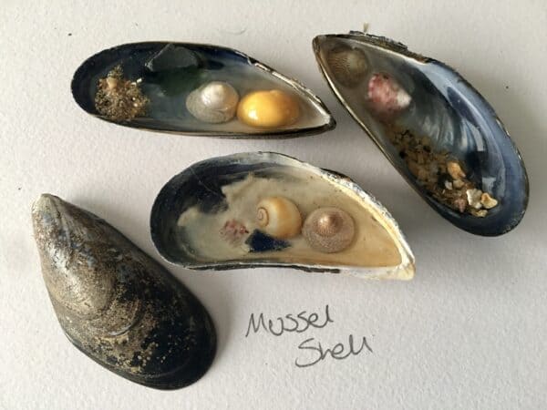Shell puddles. - handmade by Sarah Kay Arts (view 4)
