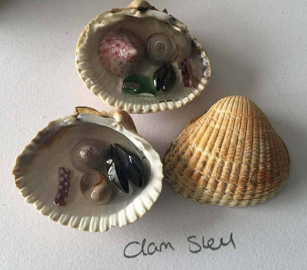Shell puddles. - handmade by Sarah Kay Arts (view 3)