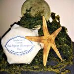 Seaweed Shampoo Bar