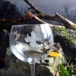 Isle of Skye Gin Glass
