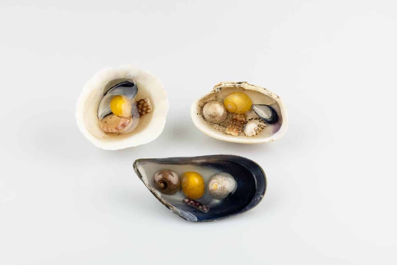 Shell puddles. - handmade by Sarah Kay Arts