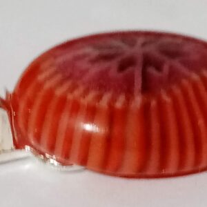 Sea anemone 2 - handmade by Ruth Brough (view 2)