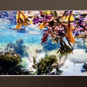 Underwater photo print