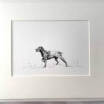 Pointer Dog Print