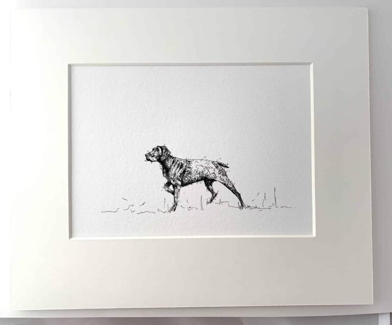 Pointer Dog Print