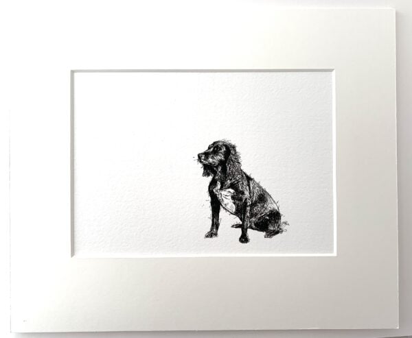Sitting Spaniel Print