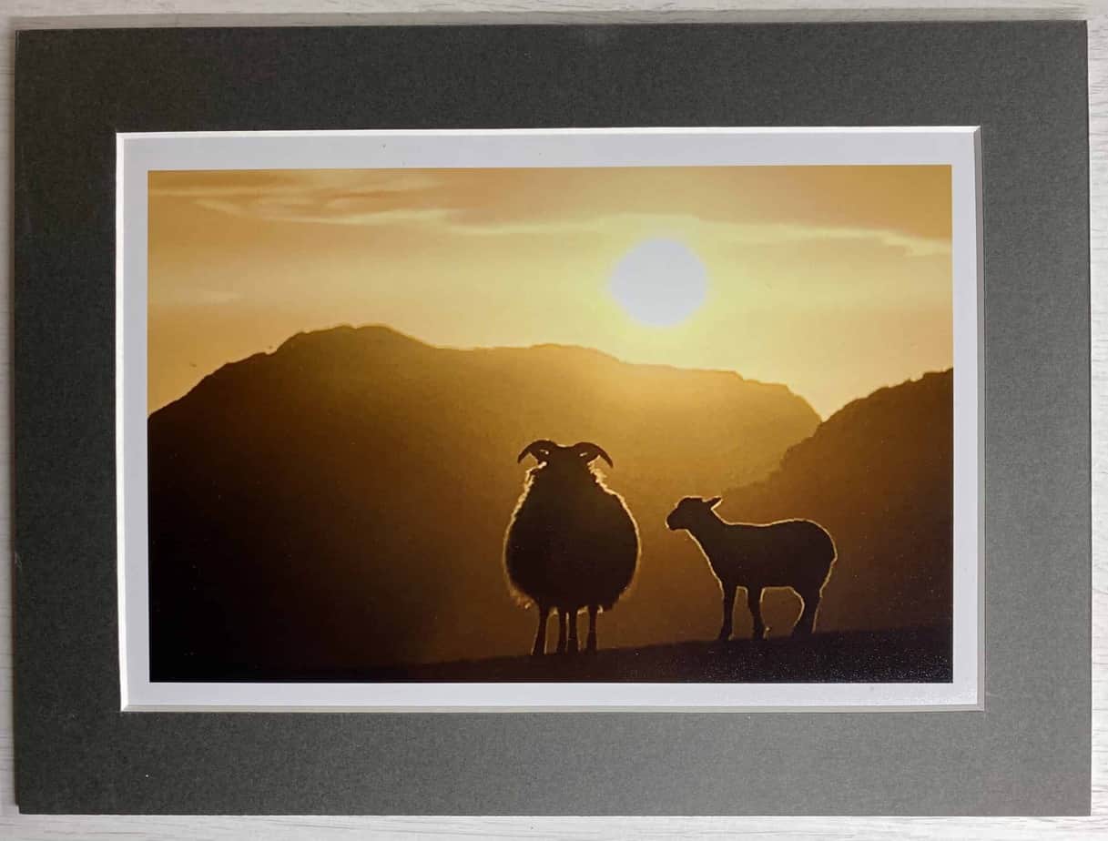 Summer sunset, Iona Mounted Photographic print - handmade by IonaImages