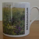 Bràdhagair Àrnol Mug