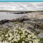 Dealbh-Dùthcha: Ainmean-Àite Bhràdhagair agus Àrnoil