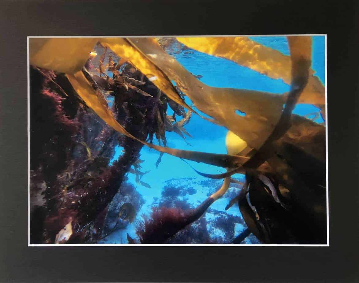 Underwater Shetland photo prints. - handmade by Sarah Kay Arts