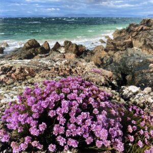 Iona square photo tile. Thrift, Iona - handmade by IonaImages
