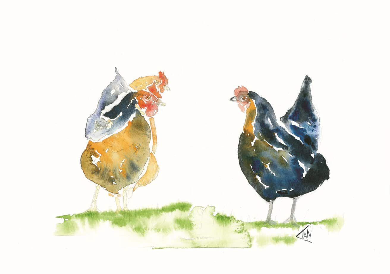 Chickens Print - handmade by Ian Williams Artist