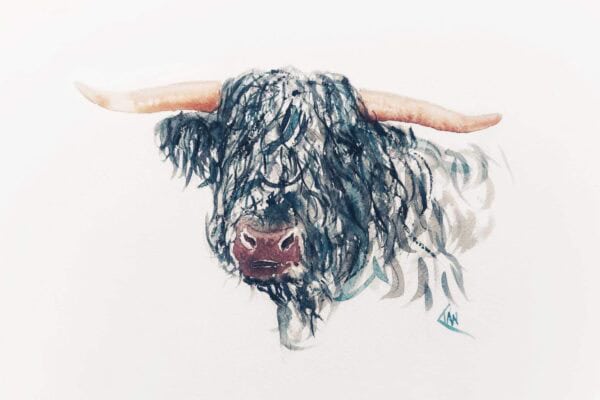 Highland Bull Print - handmade by Ian Williams Artist