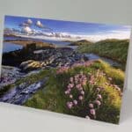Sea Pinks, Iona, card with envelope