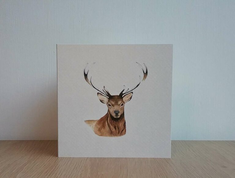 Greeting Card Pack - 4 cards