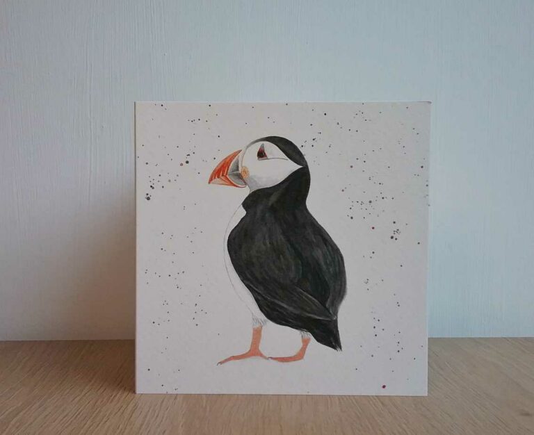 Greeting Card Pack - 4 cards