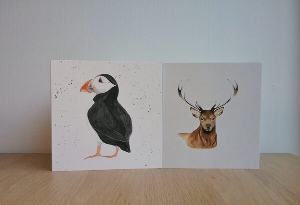 Greeting Card Pack - 4 cards