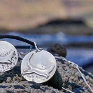 Otter Scrambling Over The Seashore - Image 3