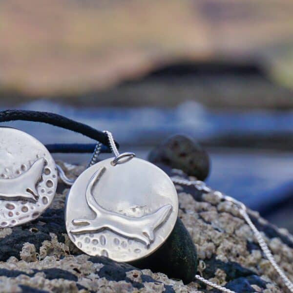 Otter Scrambling Over The Seashore