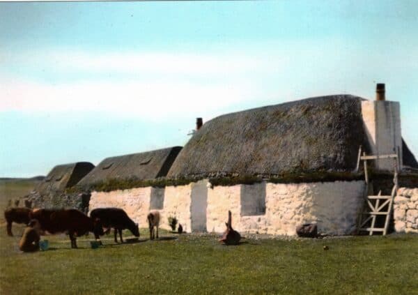 Tiree Postcard Collection - Holleyman