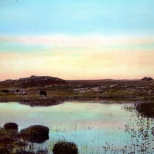 Tiree Postcard Collection - Holleyman - Image 4