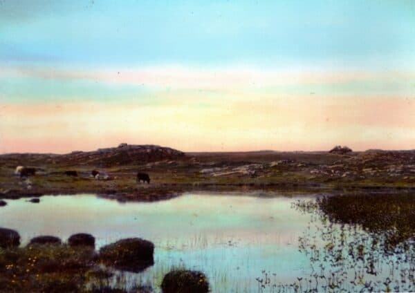 Tiree Postcard Collection - Holleyman