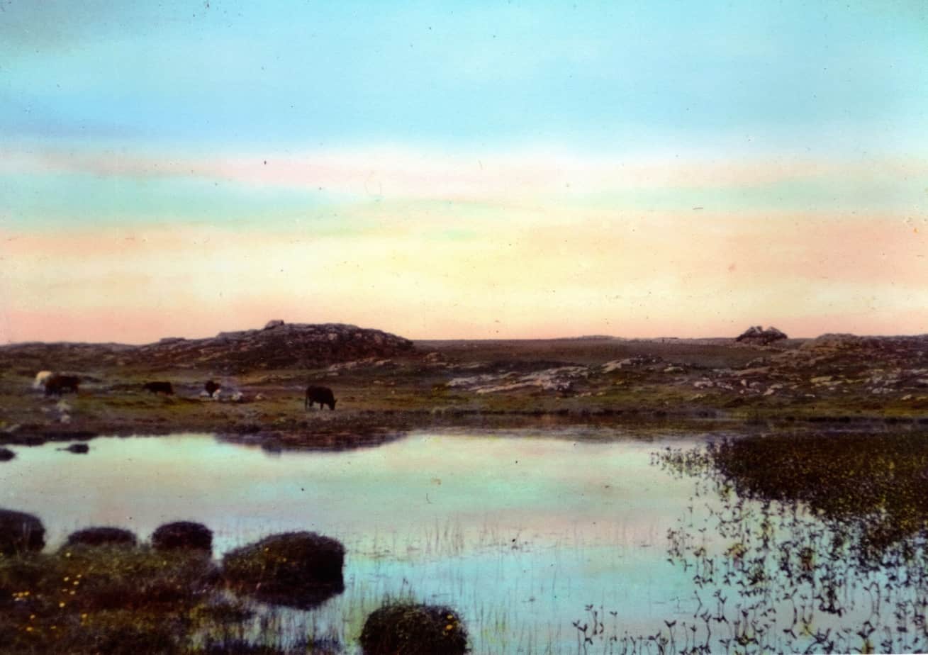 Tiree Postcard Collection - Holleyman - Image 4