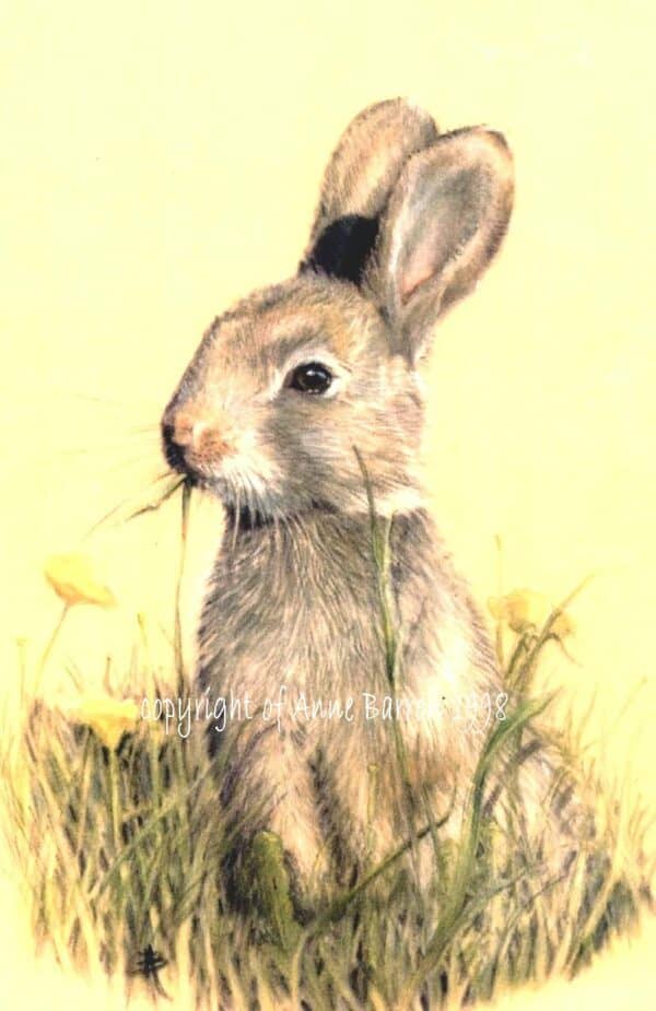 Golden rabbit