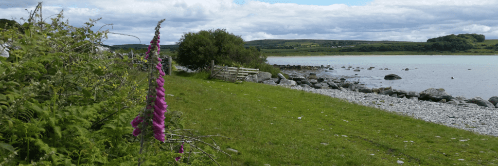 Meet the Maker Maria Rowan