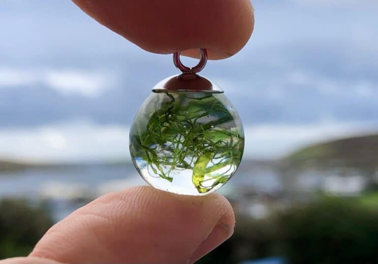 Real Seaweed Earrings - handmade by Sarah Kay Arts (view 4)