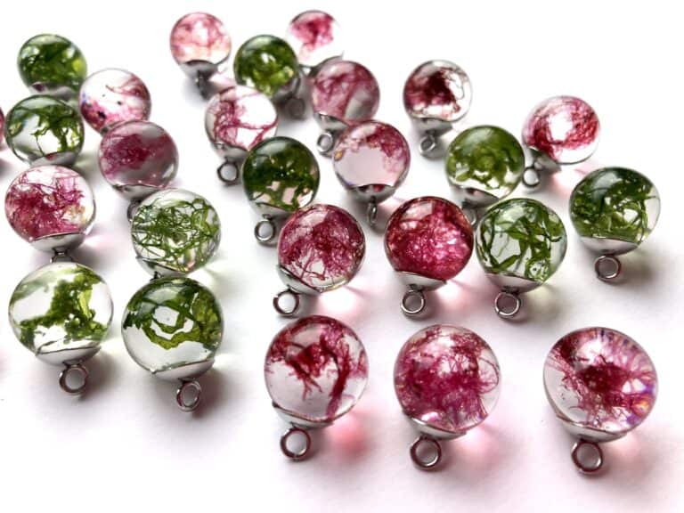 Real Seaweed Earrings - handmade by Sarah Kay Arts (view 2)