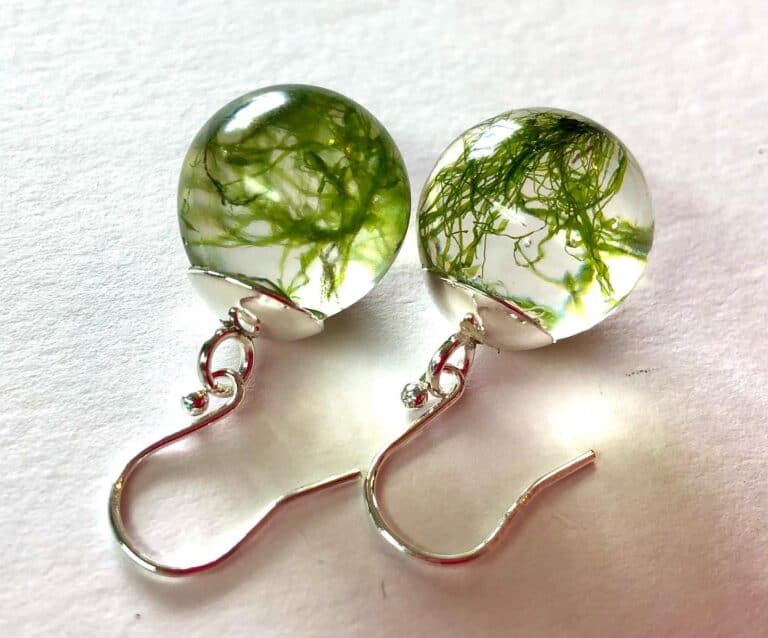 Real Seaweed Earrings - handmade by Sarah Kay Arts