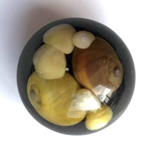 Sunset beach shell brooch. - Image 10