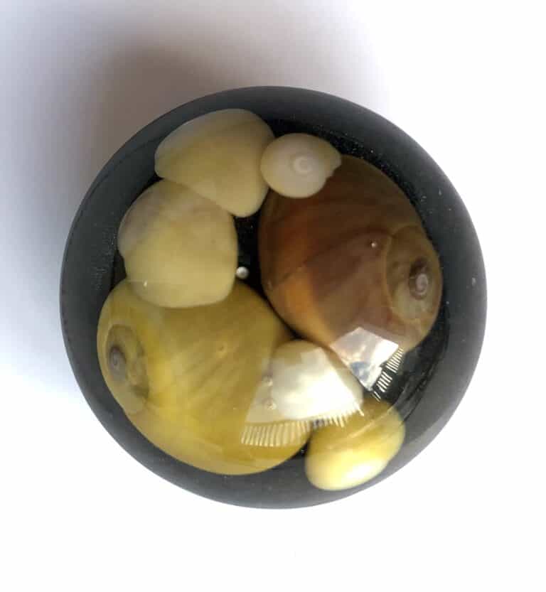 Sunset beach shell brooch.