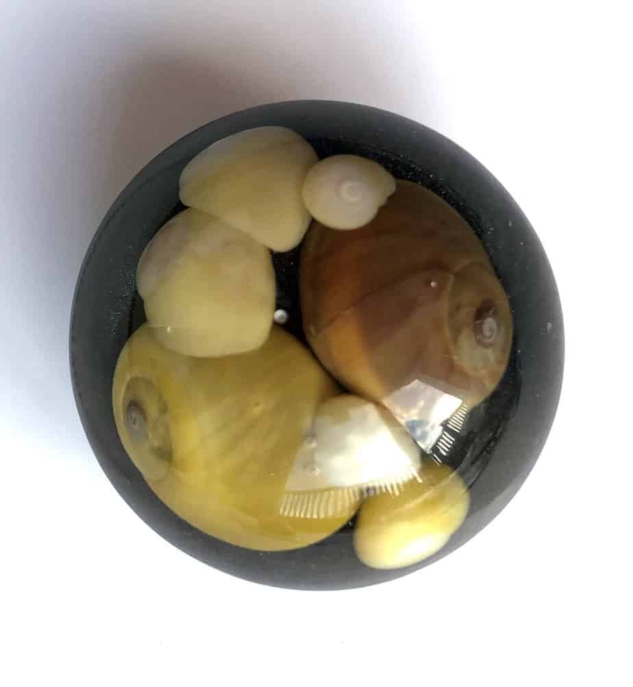 Sunset beach shell brooch. - Image 10