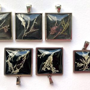 Seaweed pendants with shimmering black night sky background. - Image 4