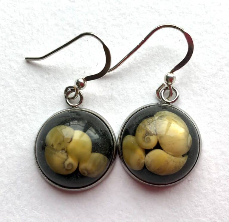 Sunset beach shells earrings, finest resin jewellery.