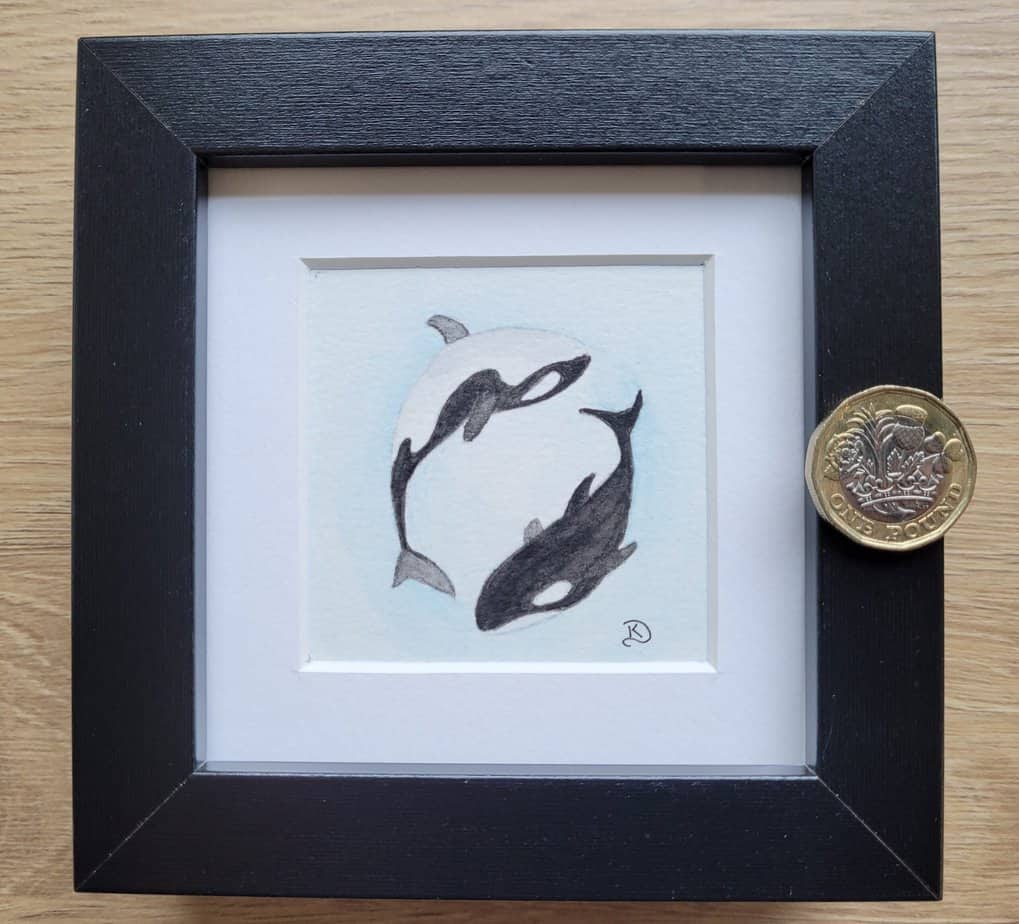 Original Watercolour Painting - Killer Whales mini framed - Scottish ...