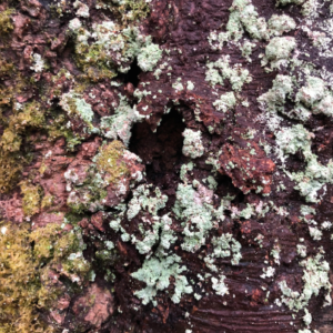 Handmade Felt Pouch - Image 8