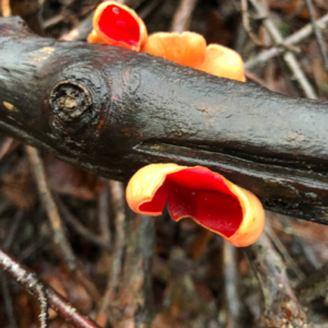 Handmade Felt Pouch - Image 9