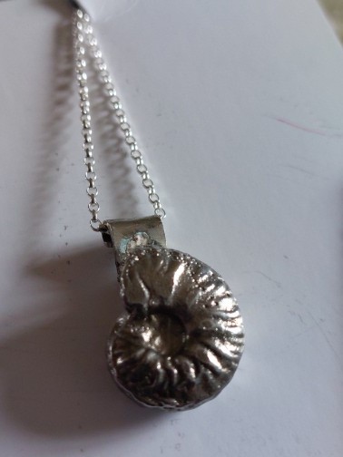 Silver cast fossil