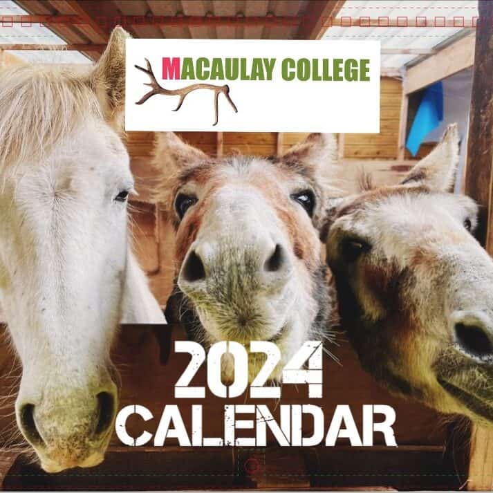 Macaulay College CIC