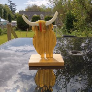 Highland Coo - Image 3