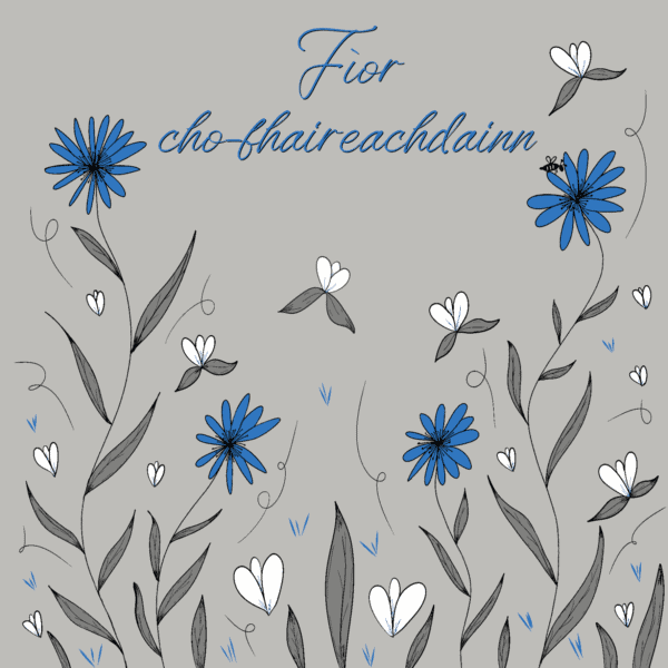 Gaelic Sympathy Card - Fìor cho-fhaireachdainn - Blue Cornflowers - handmade by Cards and Gift Wrap (view 2)