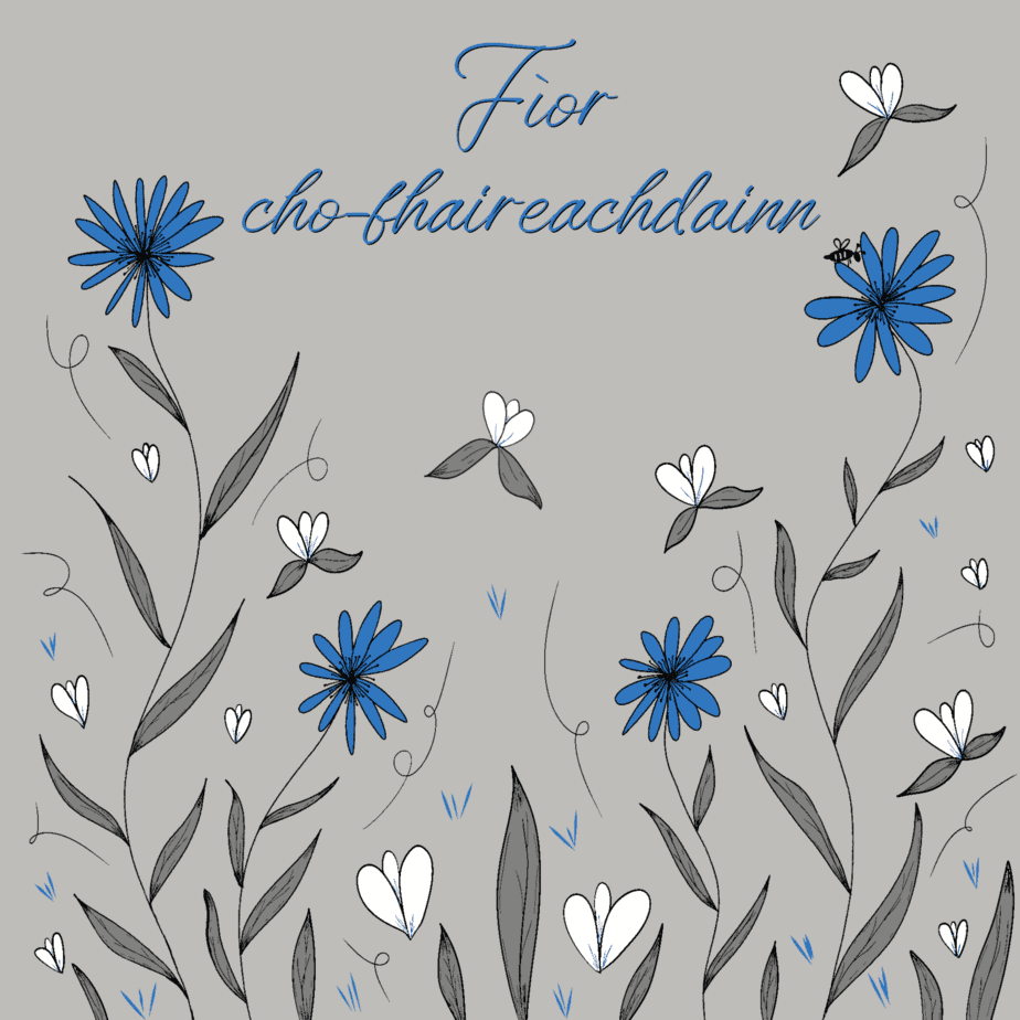 Gaelic Sympathy Card - Fìor cho-fhaireachdainn - Blue Cornflowers - handmade by Cards and Gift Wrap (view 2)