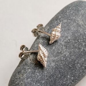 Sterling Silver Shell Studs - Image 4